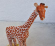 Giraffe on Stand