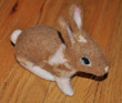 Rabbit