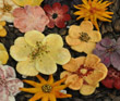 Flowe Hair Clips